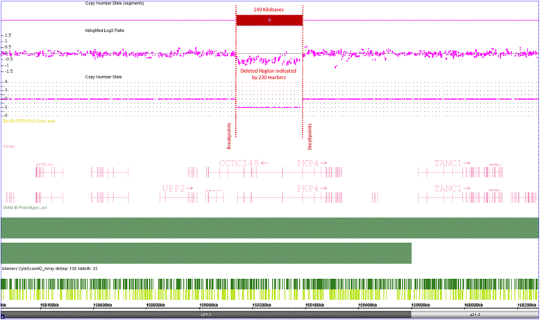 Fig. 3