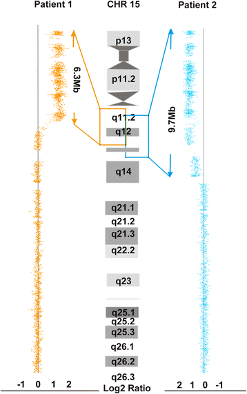 Fig. 3