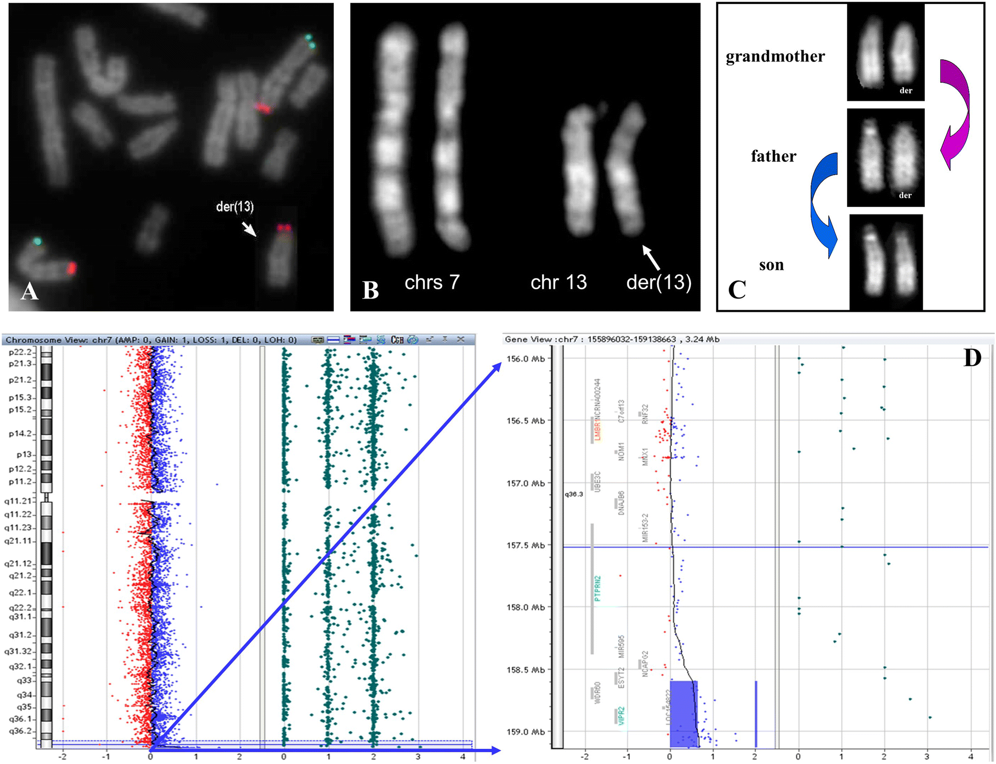 Fig. 3