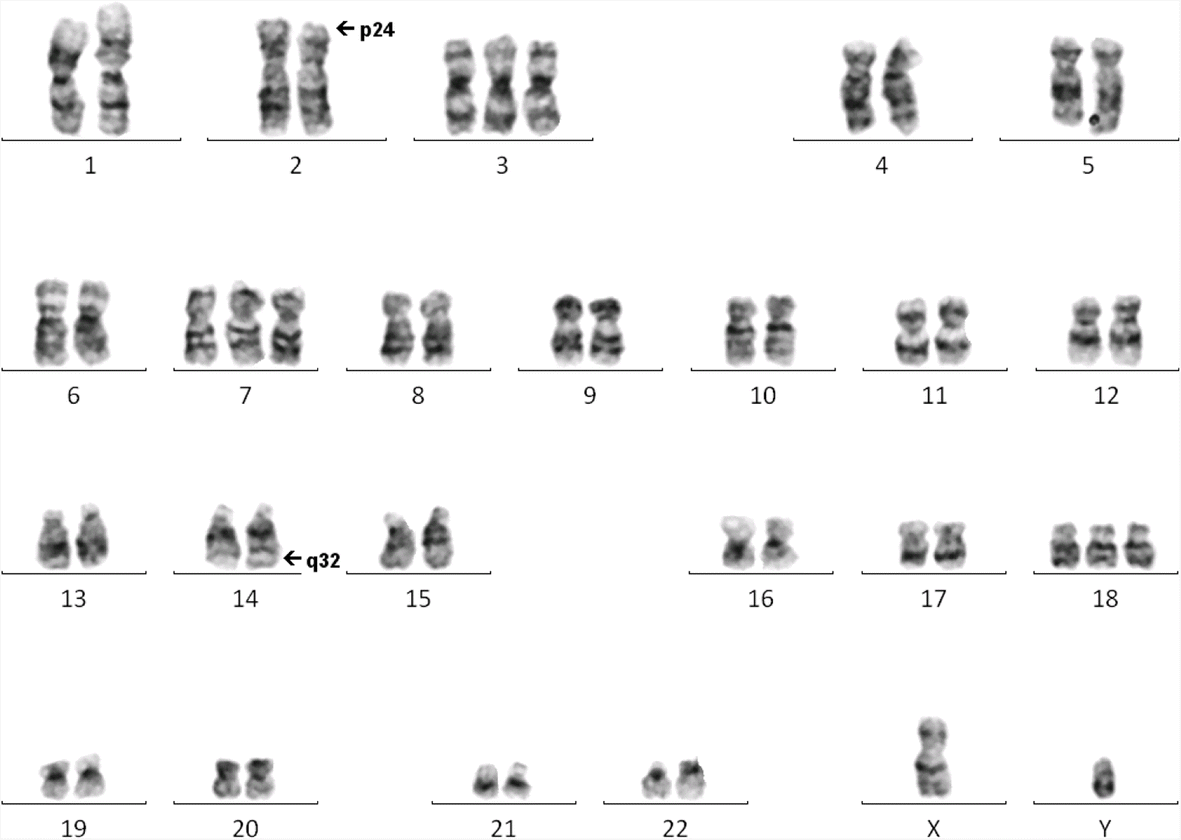 Fig. 2