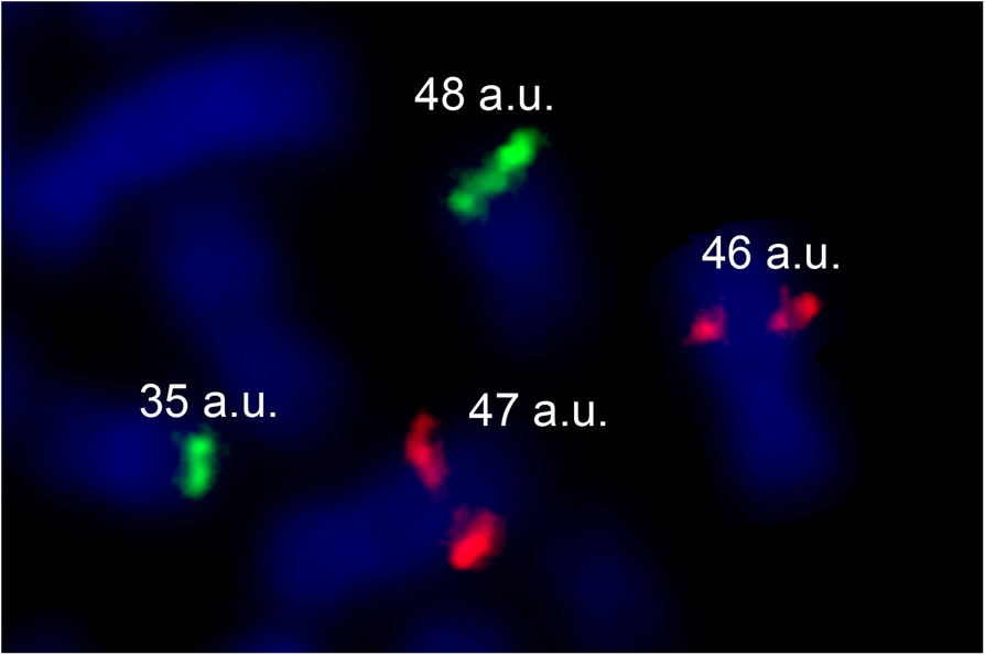 Fig. 1