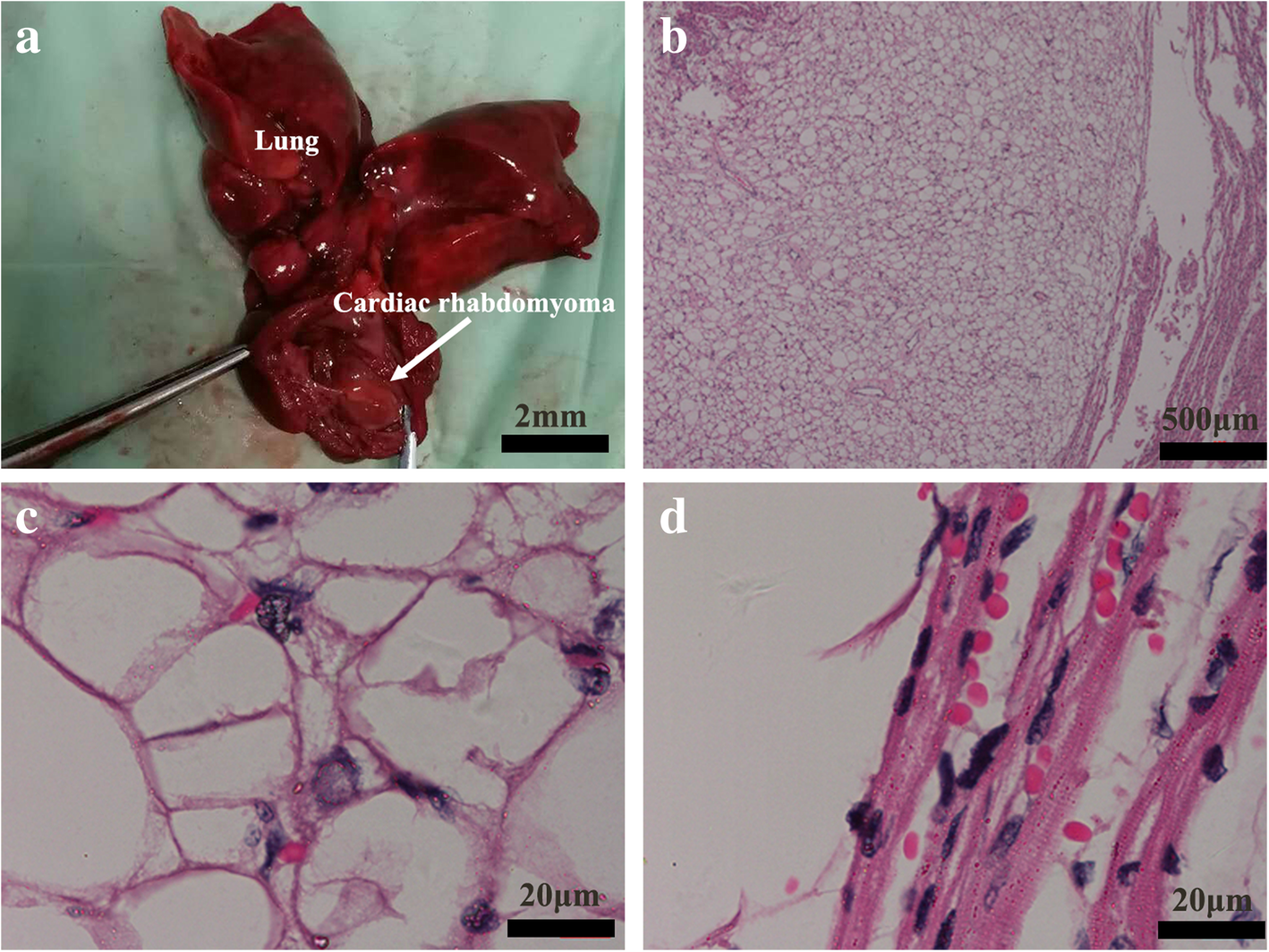 Fig. 4