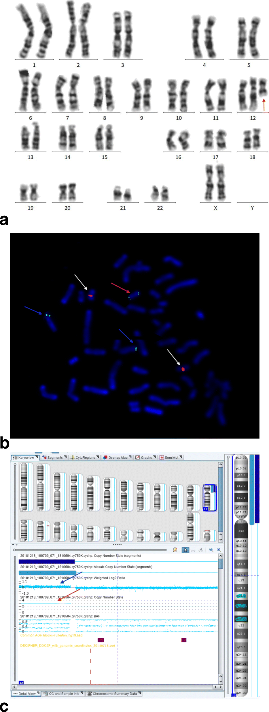 Fig. 3