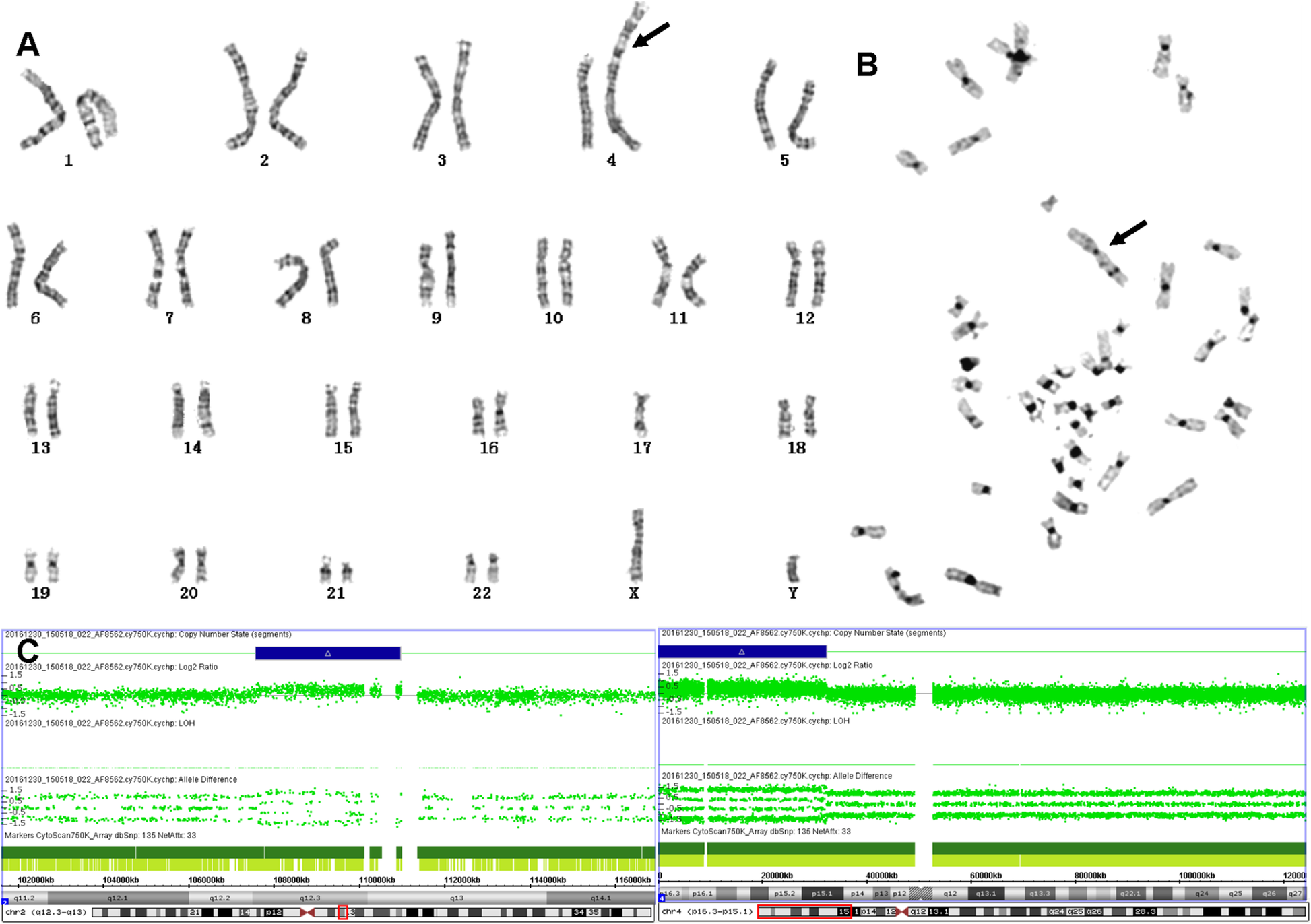 Fig. 4