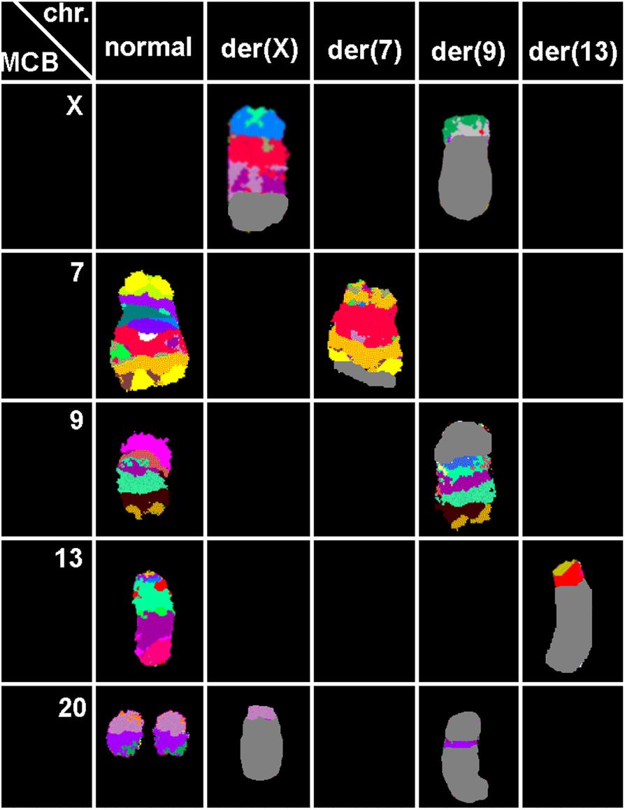 Fig. 2