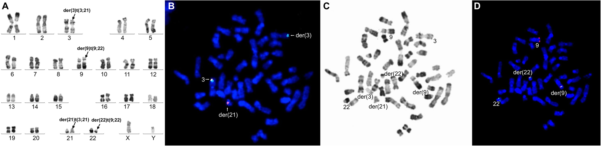 Fig. 4