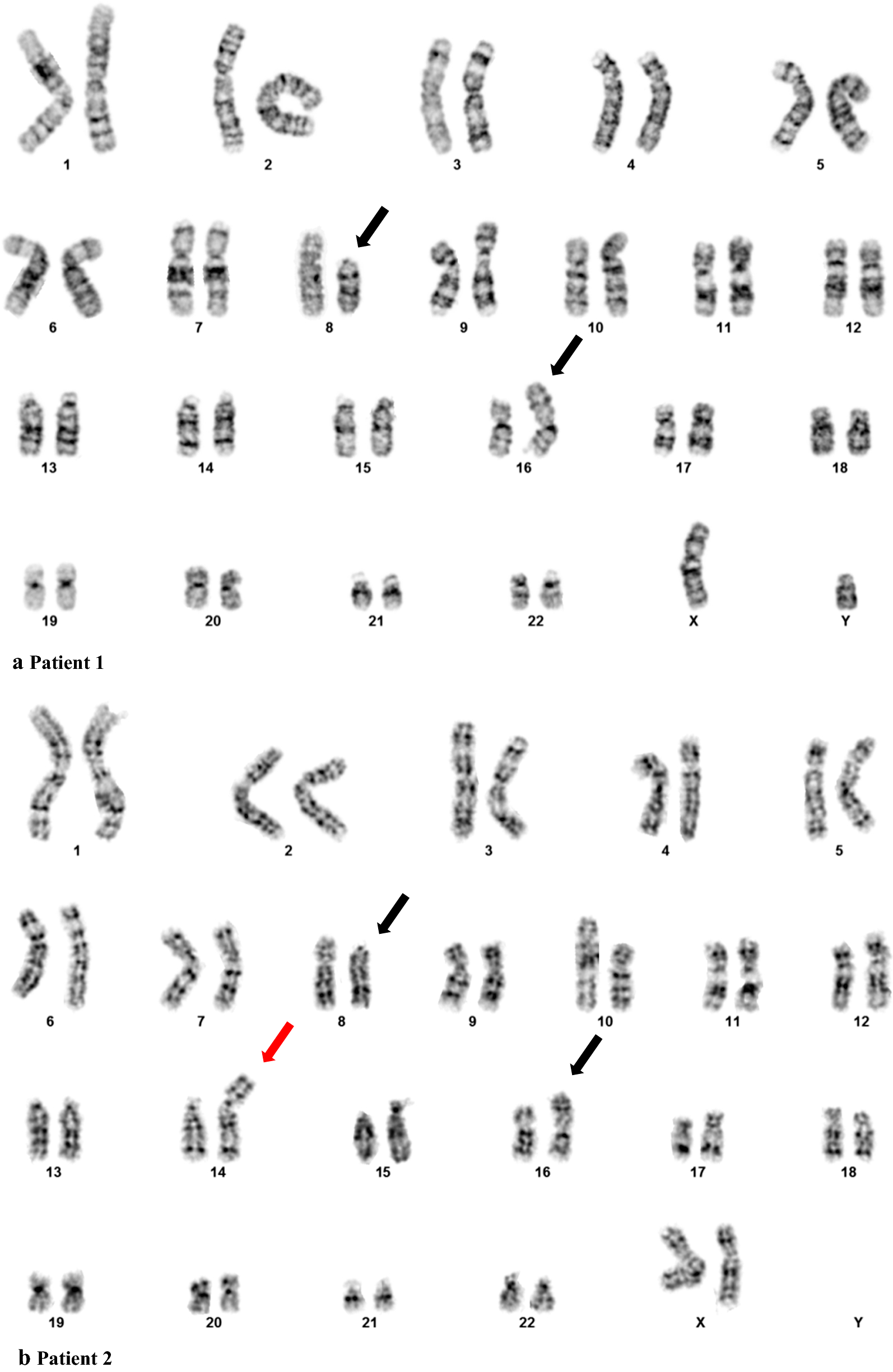 Fig. 1