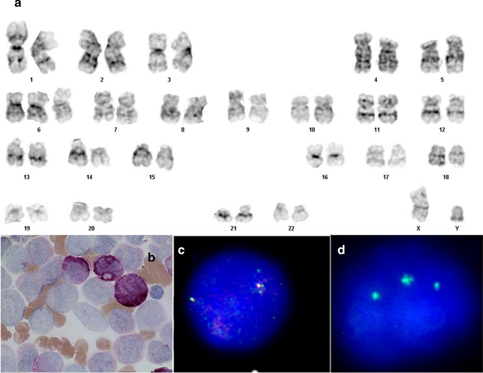 Fig. 1