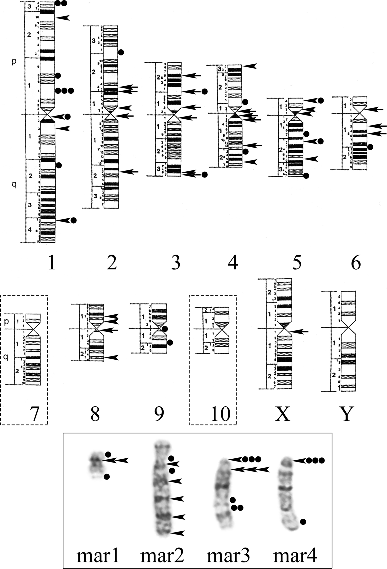 Fig. 6