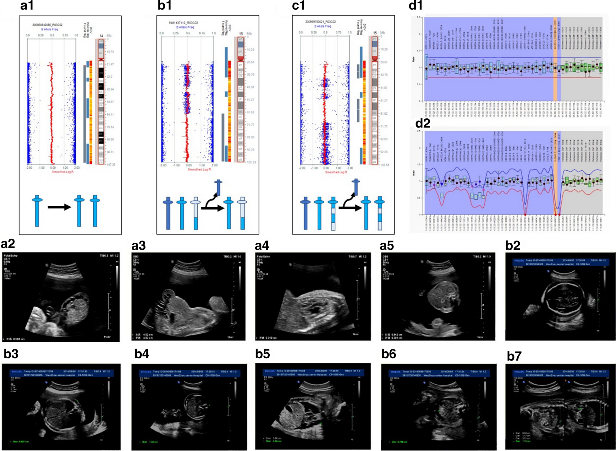 Fig. 2