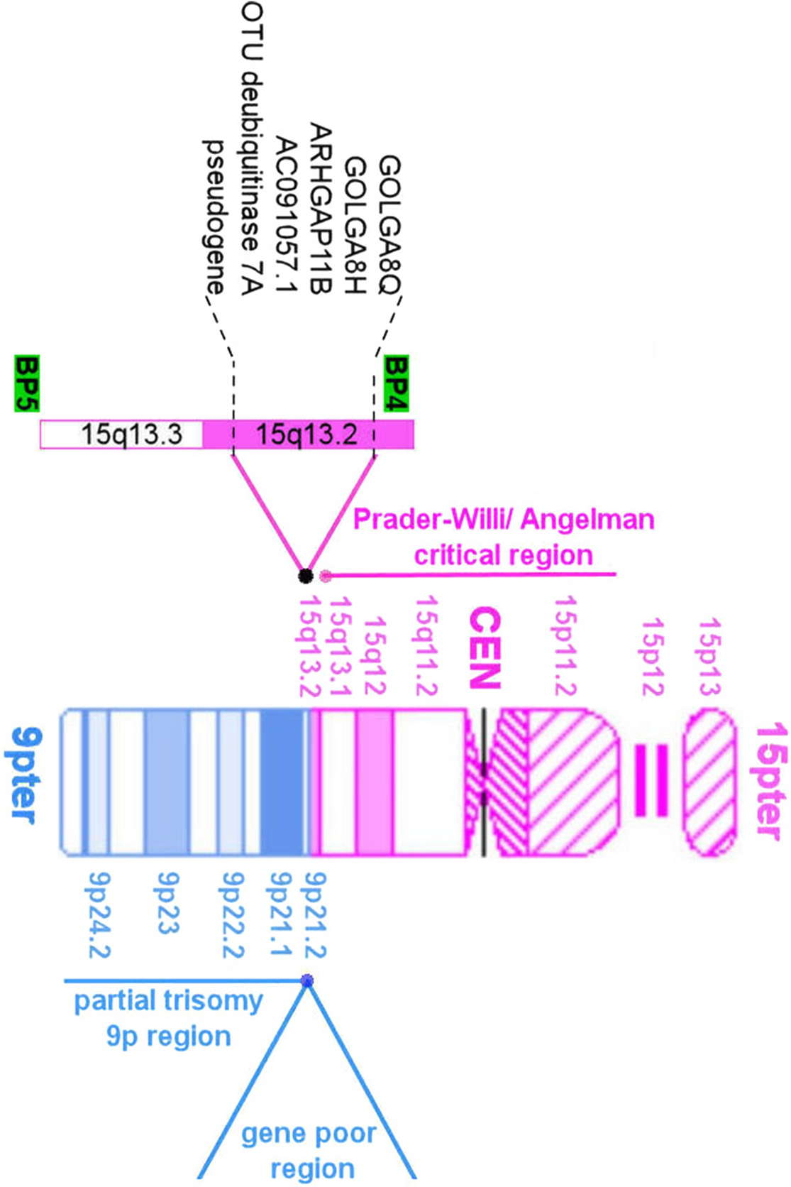 Fig. 6