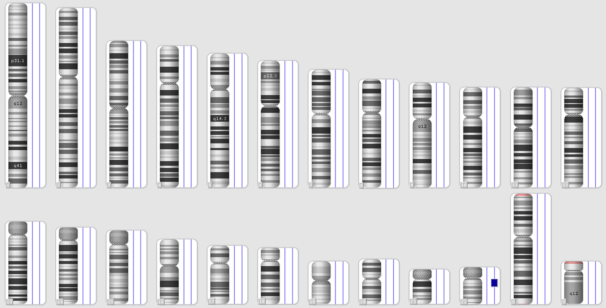 Fig. 6