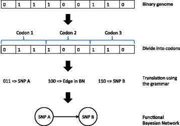 Fig. 1