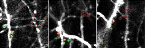 Fig. 12