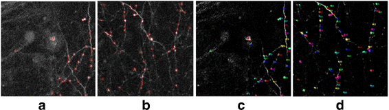 Fig. 13