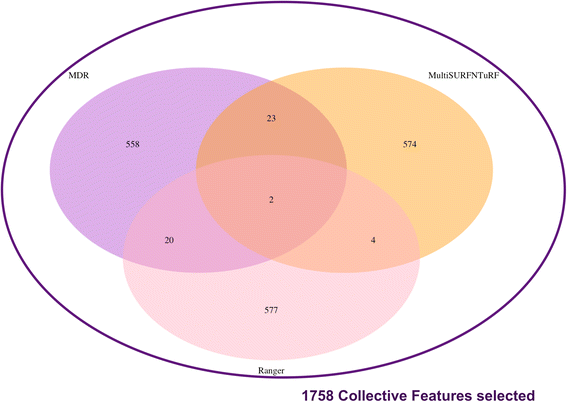 Fig. 11