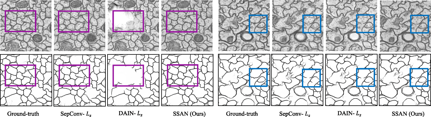 Fig. 8