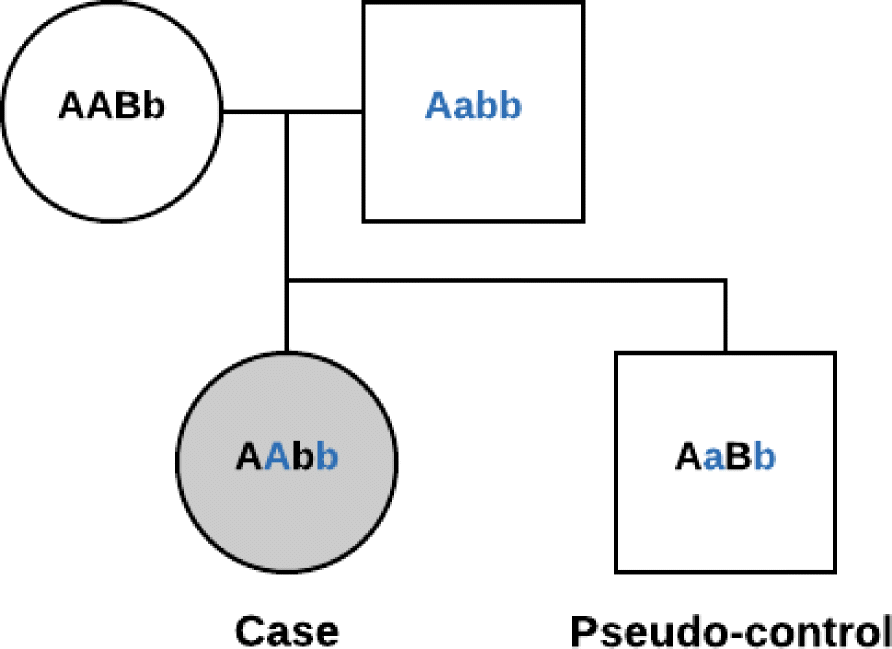 Fig. 2