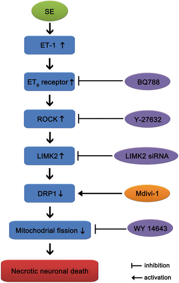 Fig. 8