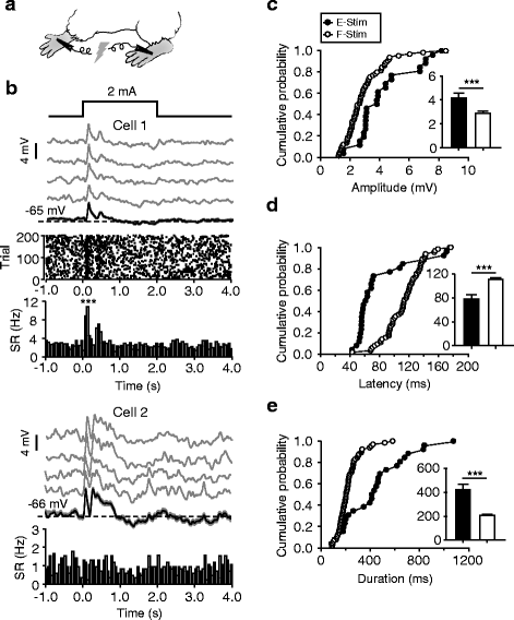 Fig. 9