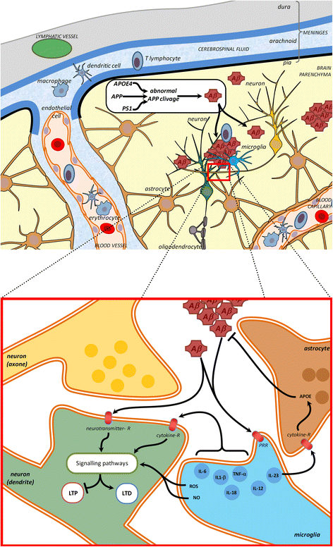 Fig. 3