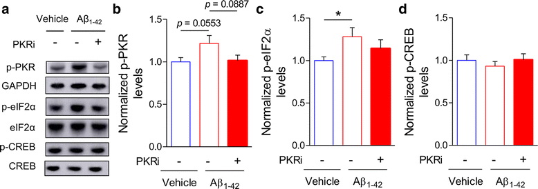 Fig. 6