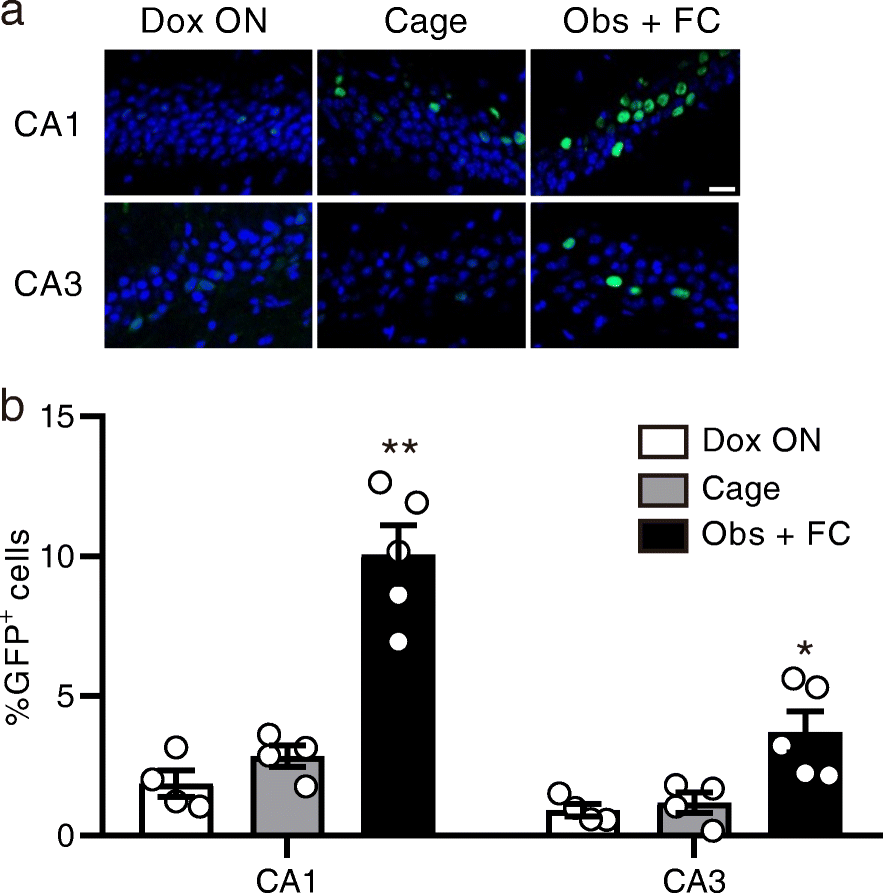 Fig. 4