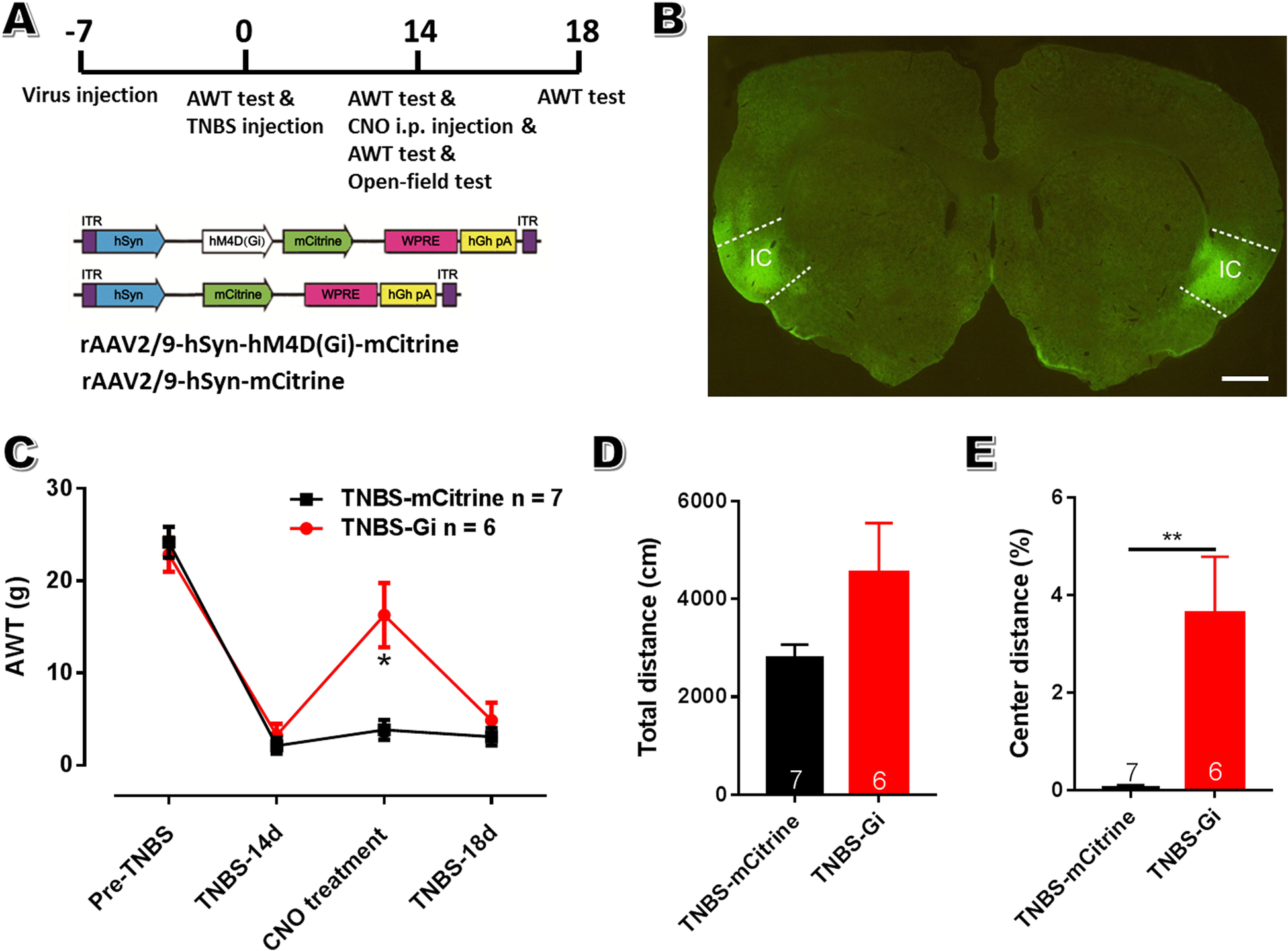 Fig. 9