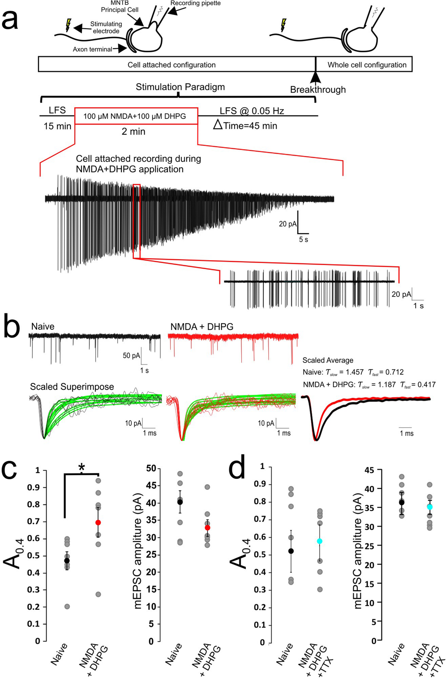 Fig. 4