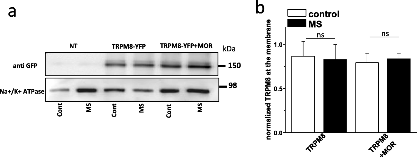 Fig. 5