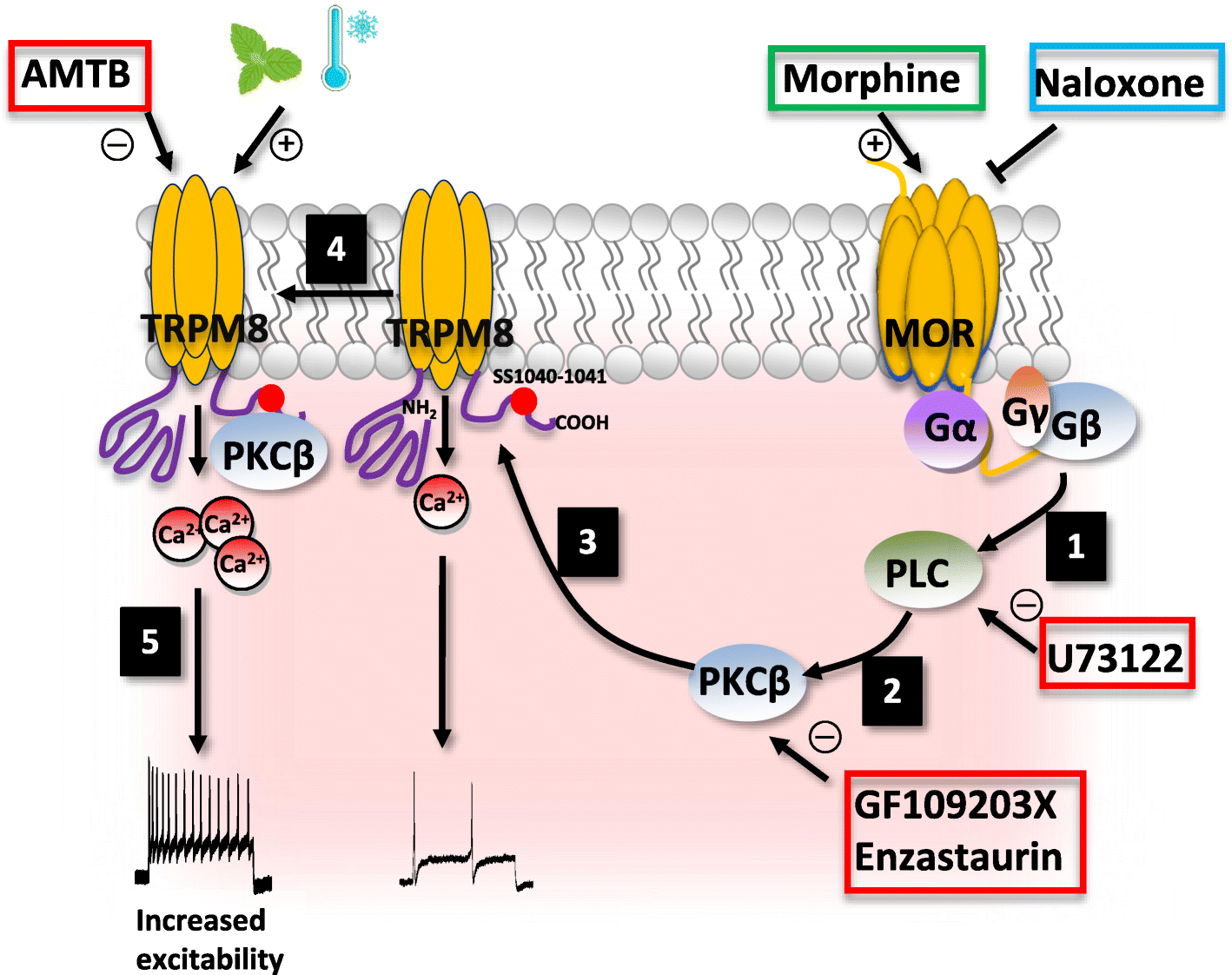 Fig. 7