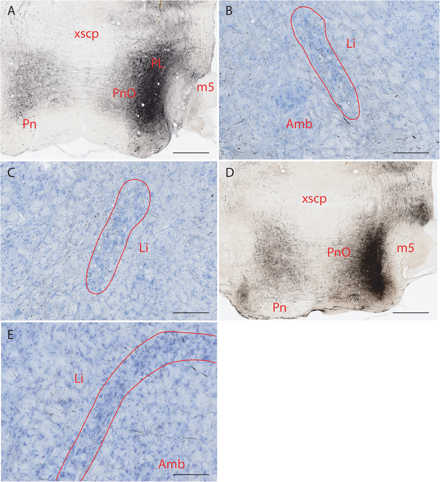 Fig. 3