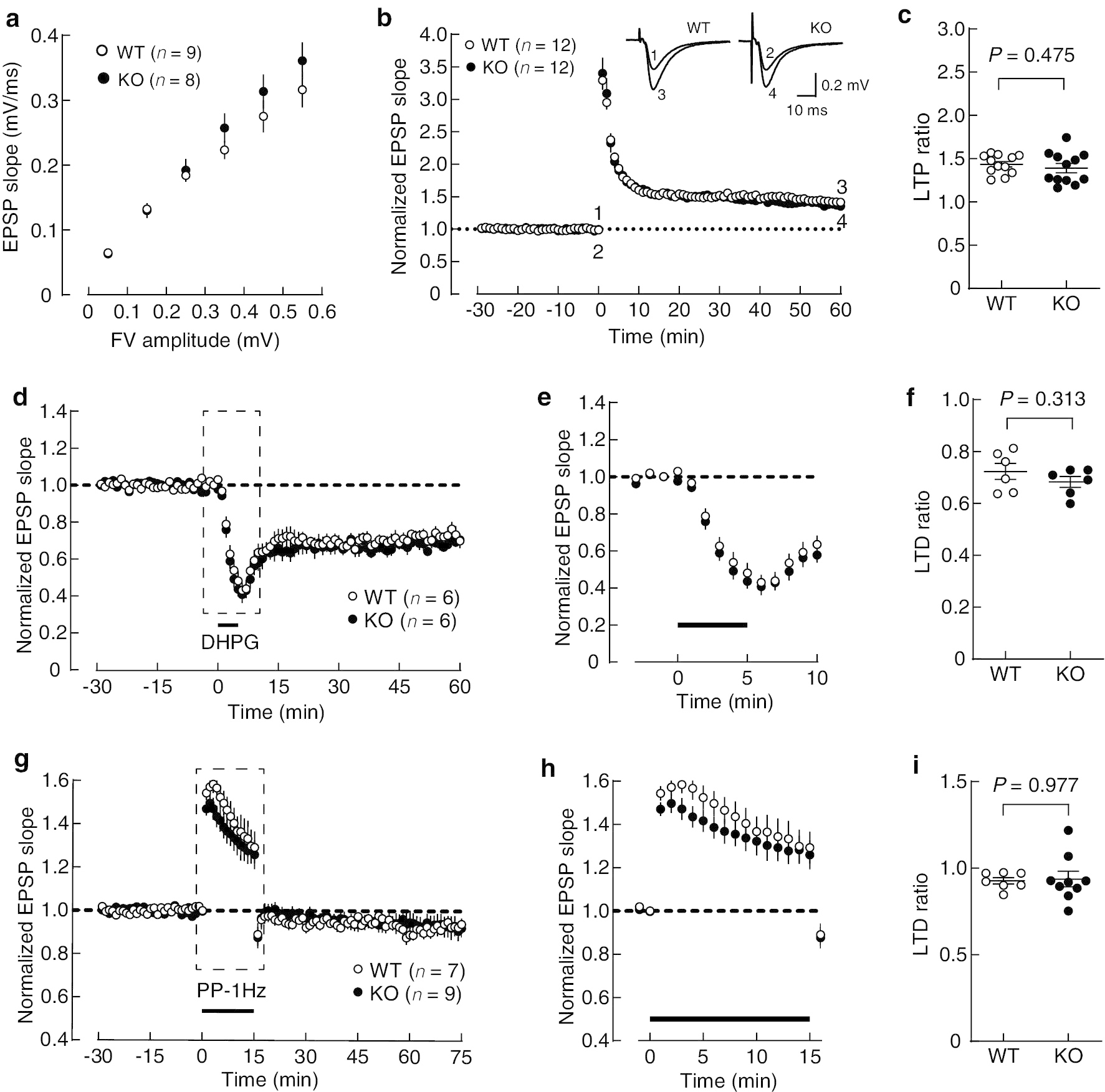 Fig. 10