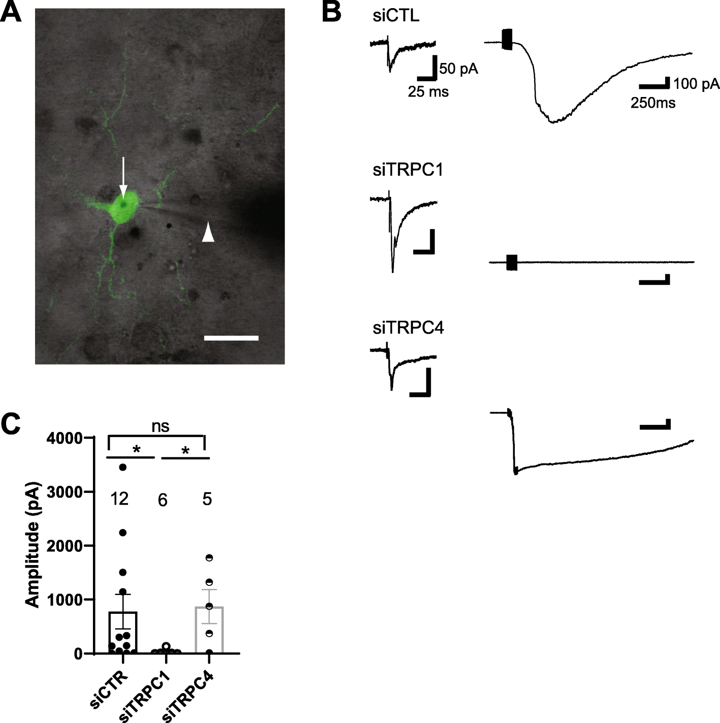 Fig. 6