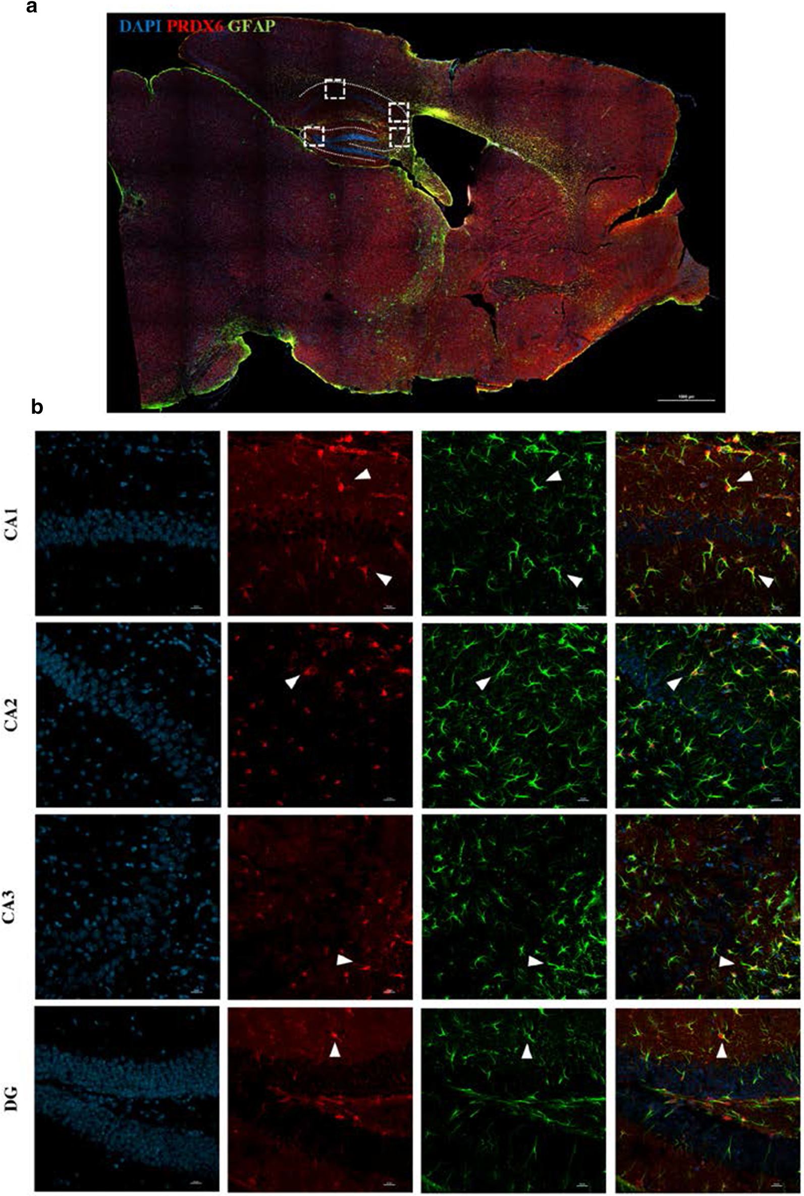 Fig. 7