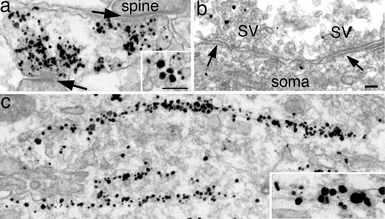 Fig. 12