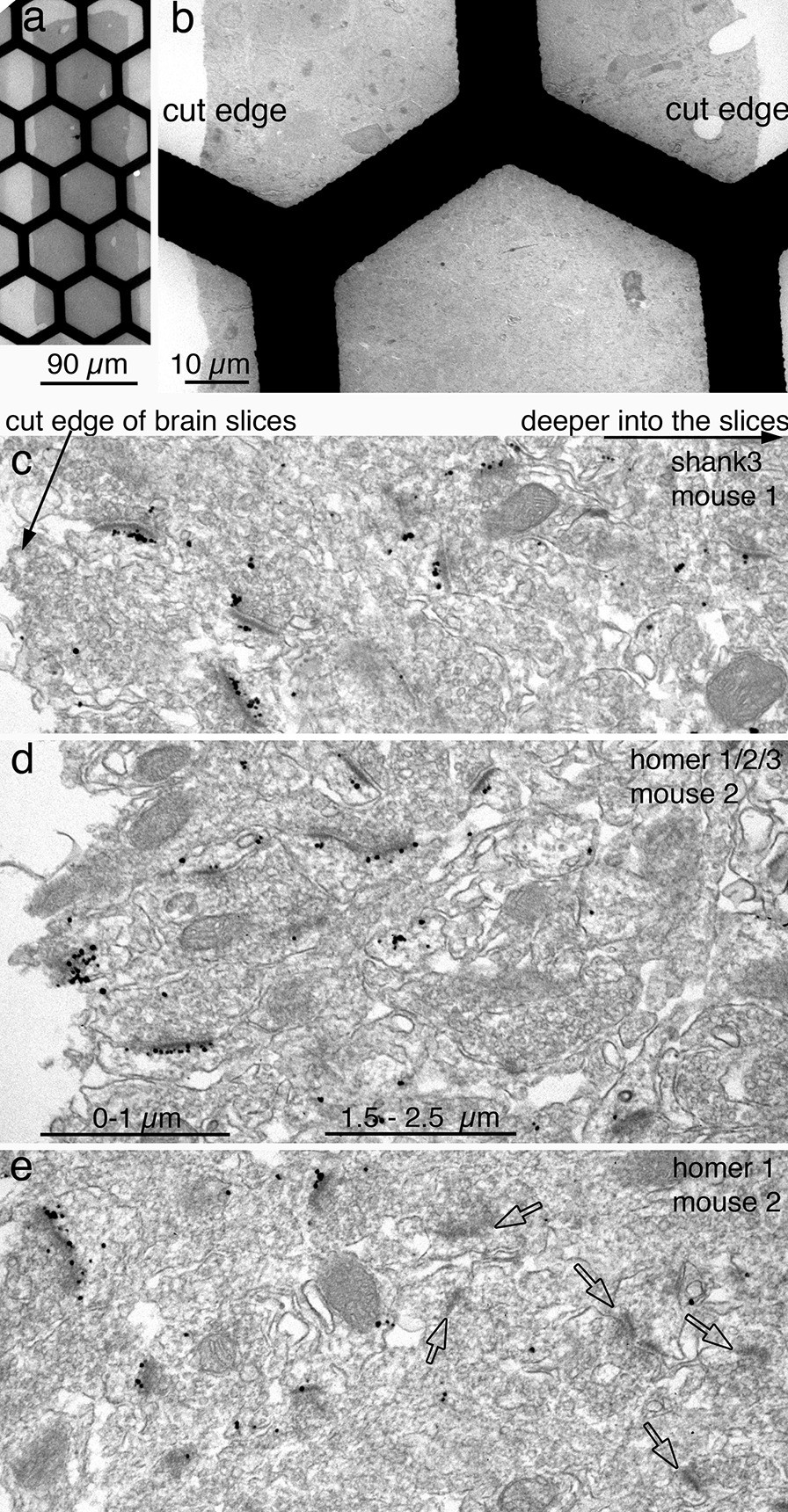 Fig. 13