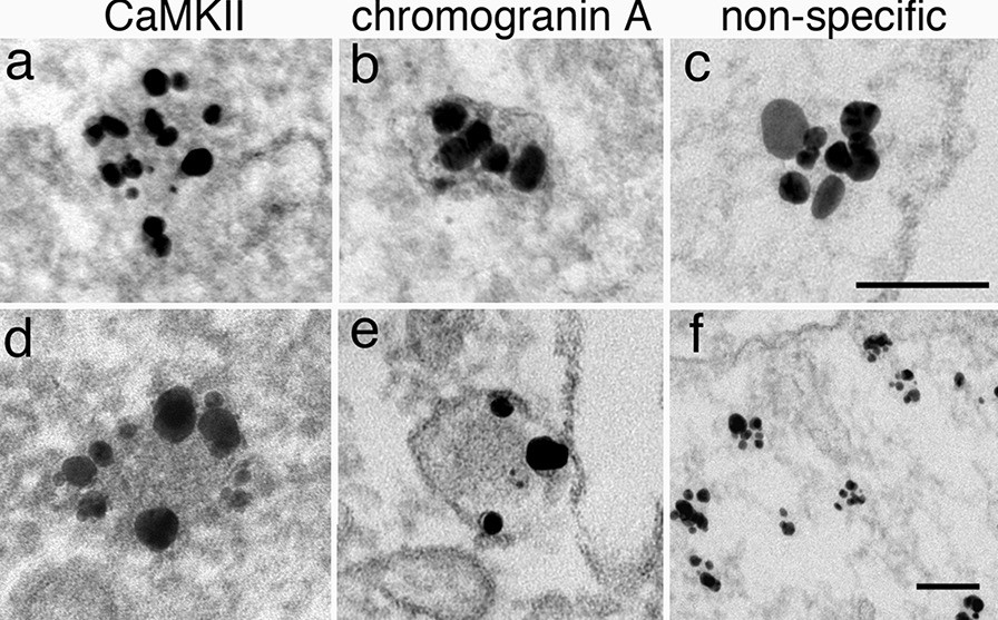 Fig. 14