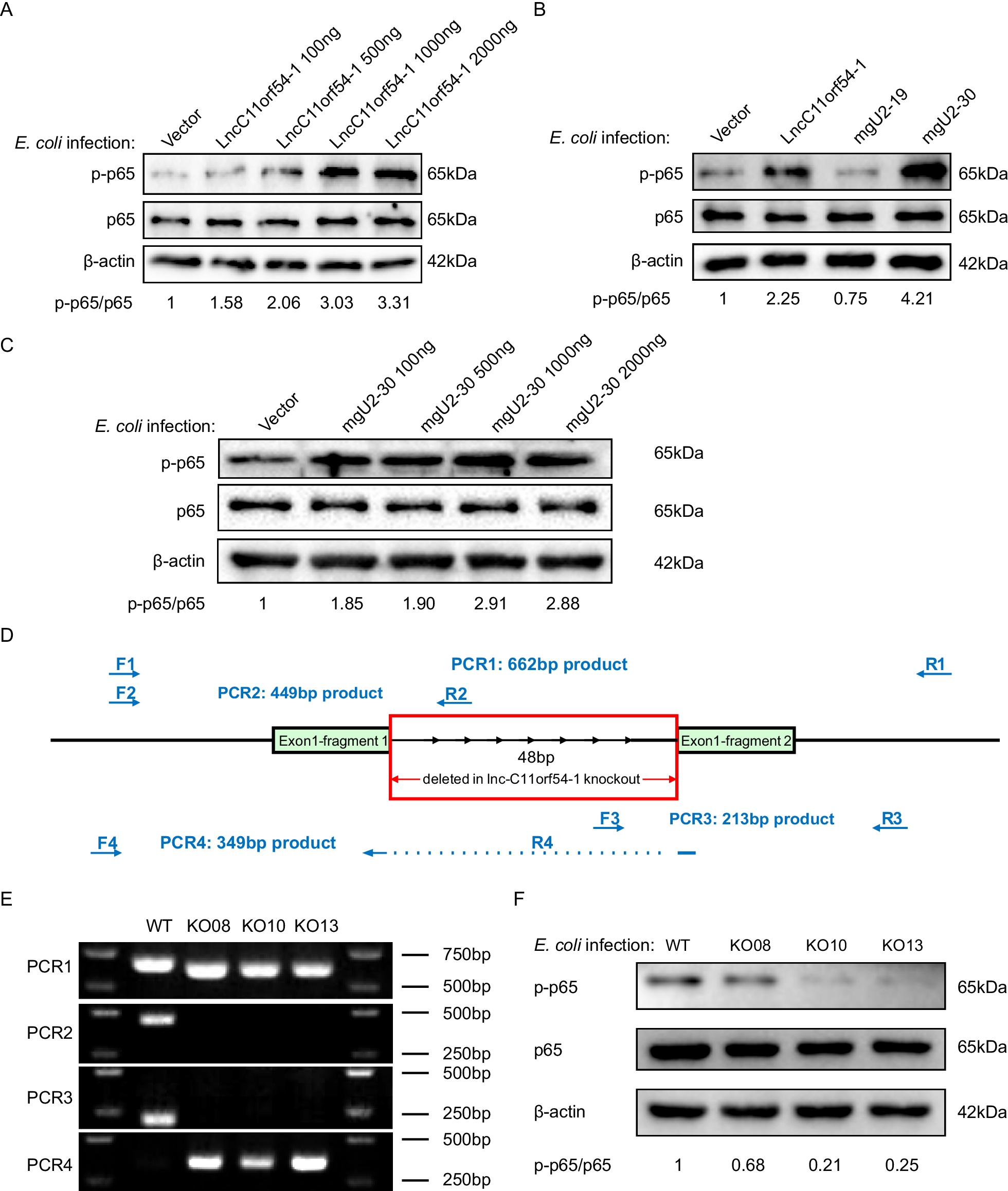 Fig. 4