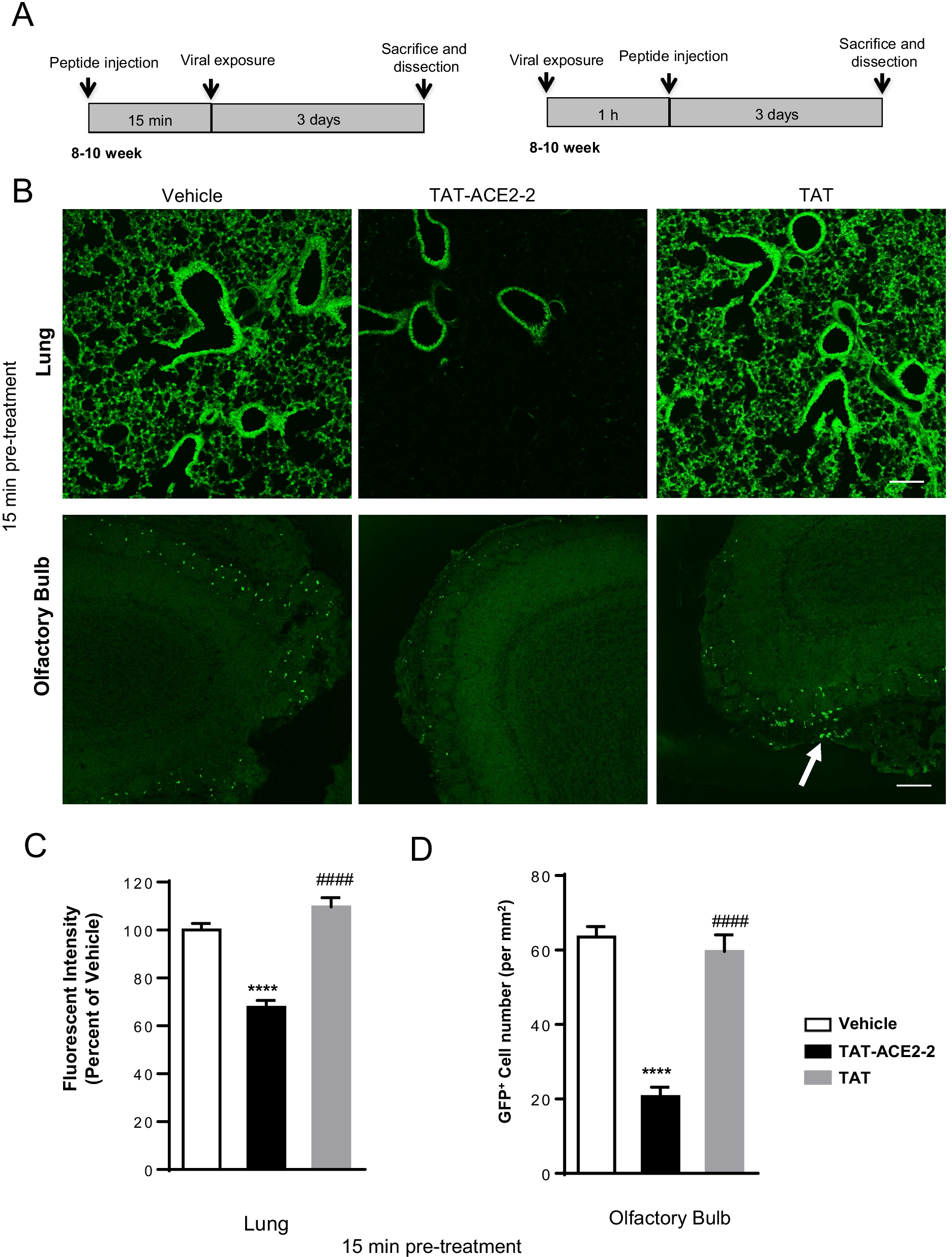 Fig. 4 