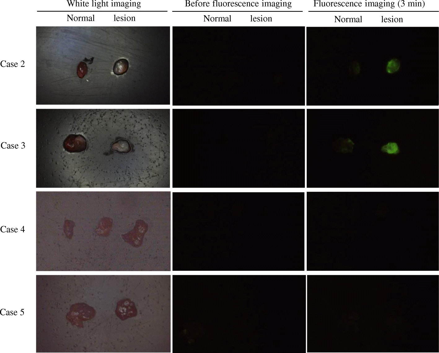 Fig. 3