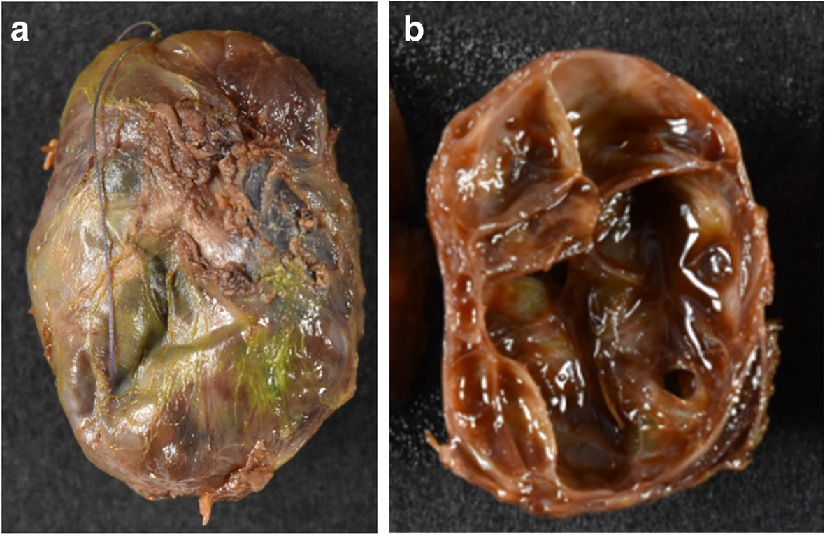 Fig. 5