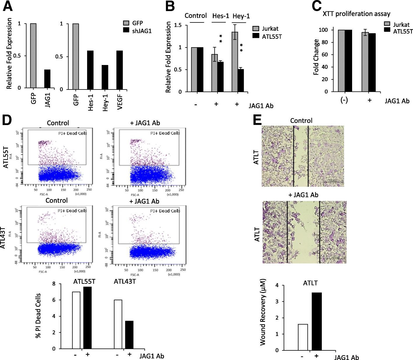 Fig. 6