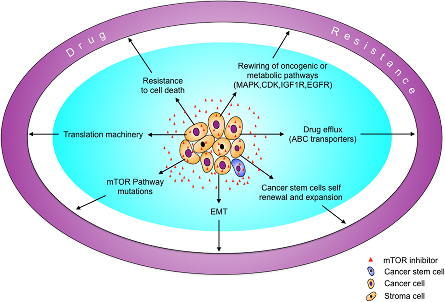 2 Journal of Hematology & Oncology. 