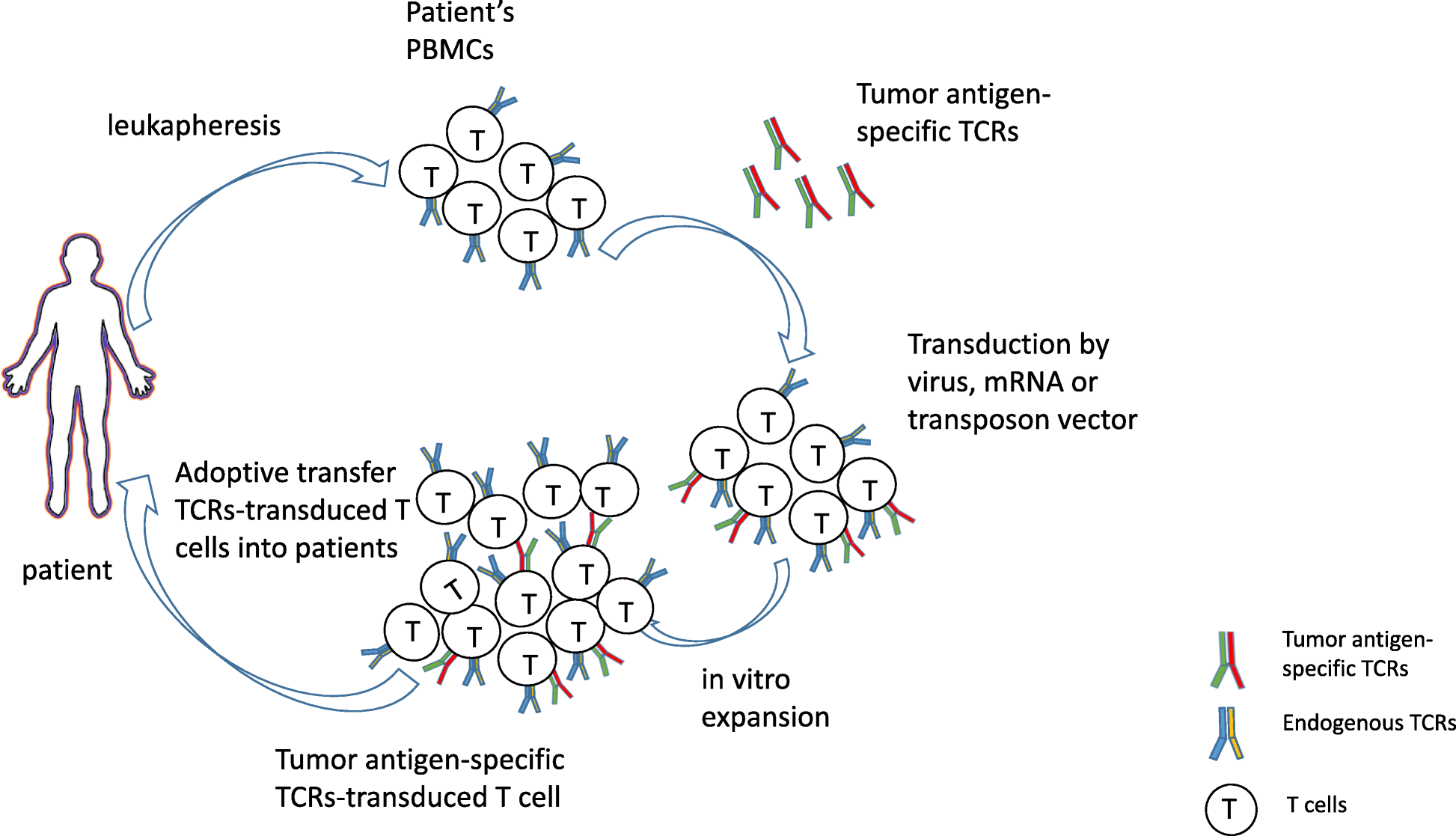 Fig. 3