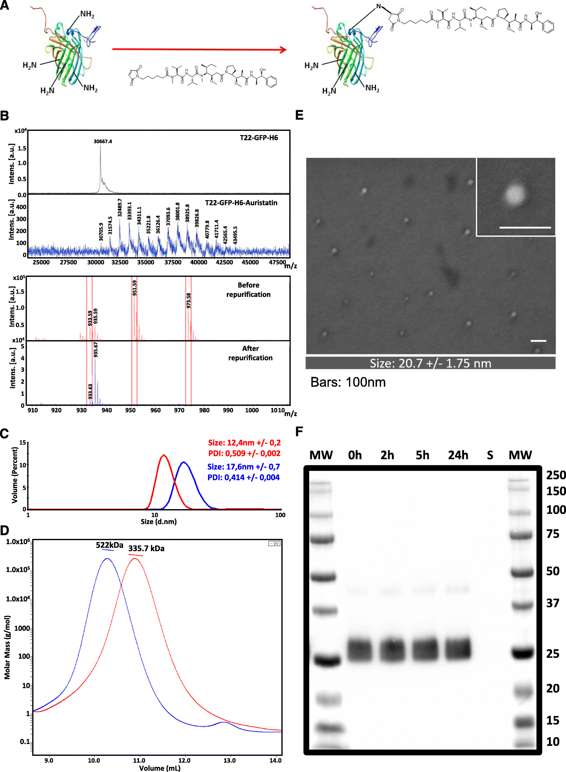 Fig. 1