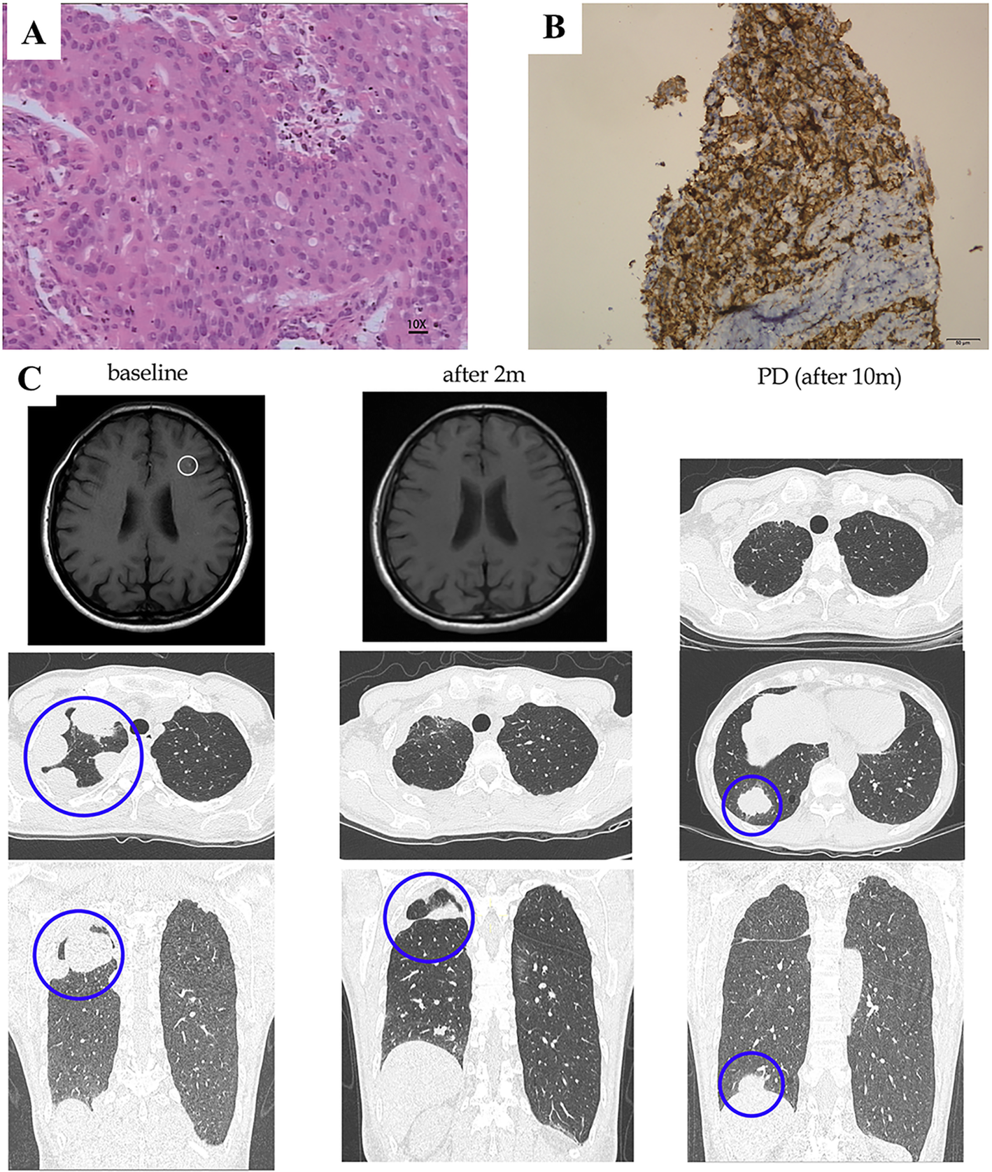 Fig. 5