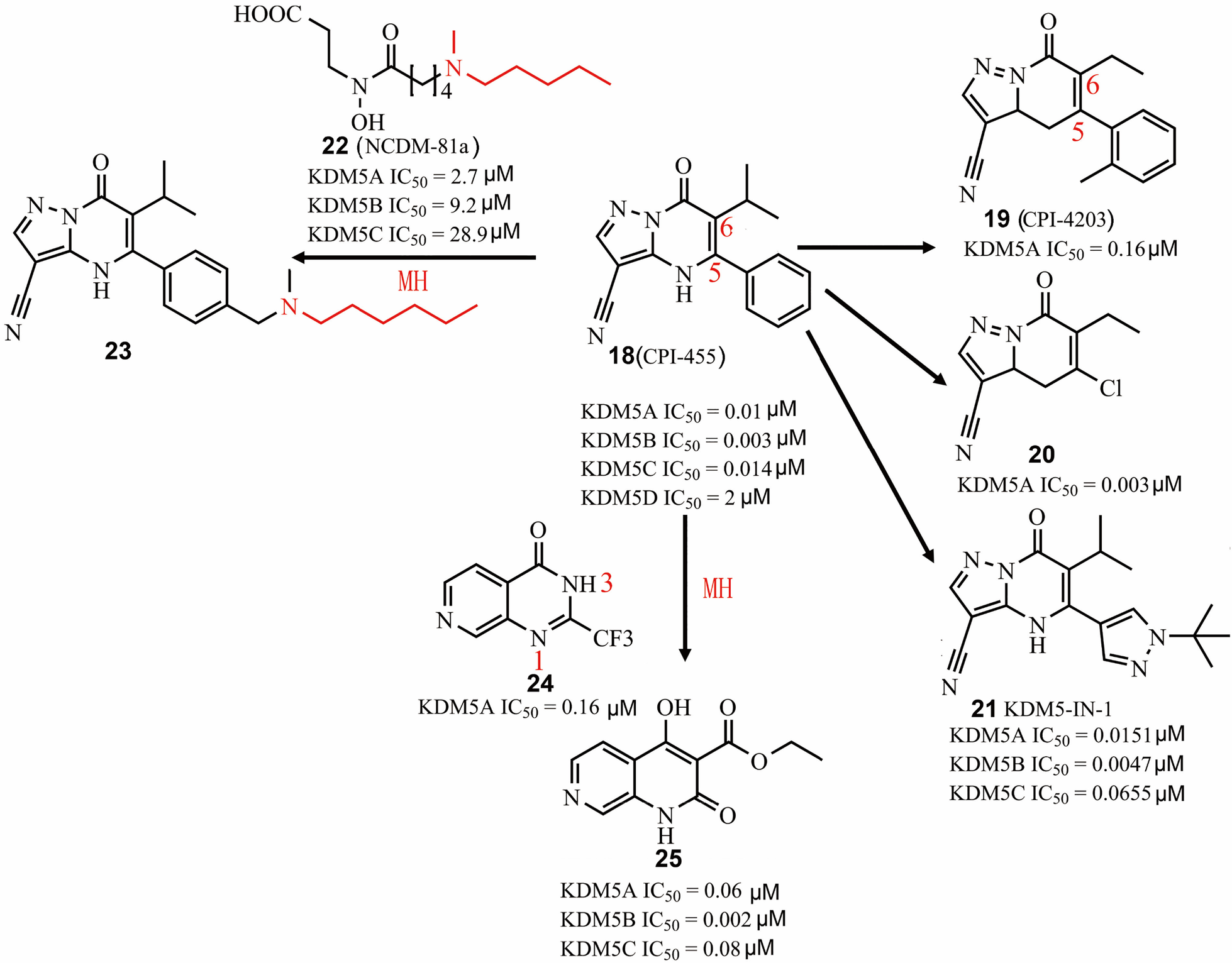 Fig. 6