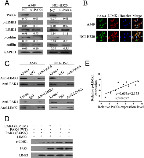 Fig. 5