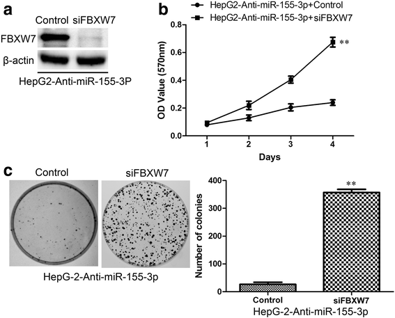 Fig. 11